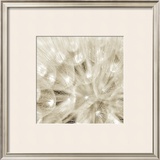 On the Breeze Poster by Adam Brock