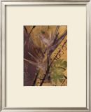 Rainforest Suite II Poster by Mimi Cora