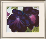 Black and Purple Petunia, 1925 Prints by Georgia O'Keeffe Black and Purple Petunia, 1925 Prints by Georgia O'Keeffe