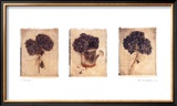 Hydrangeas Prints by Amy Melious