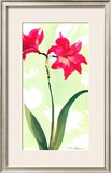 Asian Lily Posters by Martha Collins