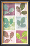 Leaf Impressions Art by Eileen Crowell