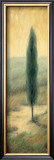 Tuscan Twilight II Posters by Laurie Tavino
