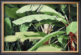 Tropical Harmony Posters by Glenn Cernosek