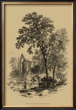 The Ash Tree Posters