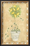 Tuscan Fruit II Posters by Chariklia Zarris