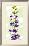 Delphinium Posters by Martha Collins