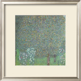 Roses under the Trees Posters by Gustav Klimt