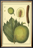 Exotic Melons I Art