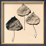 Trio Posters by Graeme Harris