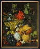 Fruits, Flowers and Insects Art by Jan van Huysum