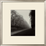 Suspended Vine Prints by Michael Kenna