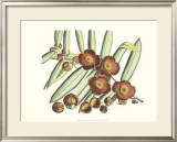 Botanical I Prints by Van Rheet 
