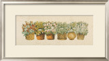 Basil Poster by Joan Sanders