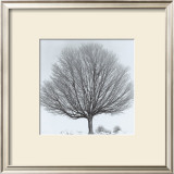 Arbres Divers IV Poster by Michel Ditlove