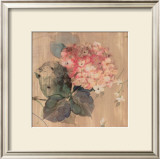 Hydrangea I Prints by Cara Jones