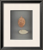 Assemblage No. 78 Posters by John Watson