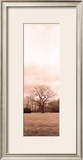 Chestnut Tree Prints by Alan Blaustein