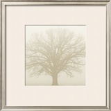 Soft Light I Prints by Adam Brock