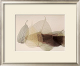 Chablis Posters by Durwood Zedd