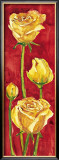 Rose in Rosso Prints by Giuseppina Tartagni