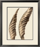 Turning Leaves I Prints by Jeff Friesen