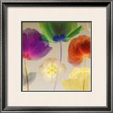 Poppy Panorama I Prints by Robert Mertens