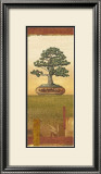 Bonsai I Posters by Charlene Audrey