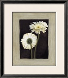 Flora II Print by Andrea Trivelli