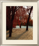Autumn Snow I Prints by Alicia Soave