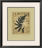 Garden Fern Posters by Betsy Bauer