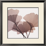 Ginkgo Leaves I Prints by Steven N. Meyers