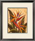 Tropical Bird of Paradise Art by Dianne Krumel
