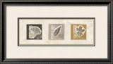 Leaf Trio Posters by Diane Kline