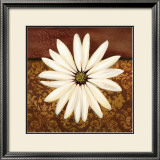 White Daisy Prints by Tamara Wright