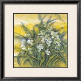 White Orchids Poster by Cai Xiaoli