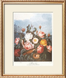 Group of Roses Posters by Dr. Robert J. Thornton
