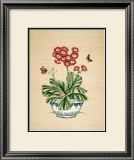Auricula Whimsy Art by P. Bowden