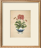 Auricula Serendipity Art by P. Bowden