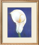 Iris I Prints by D. Ferrer