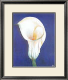 Iris I Print by D. Ferrer