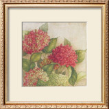 Hortensia II Prints by Vincent Jeannerot