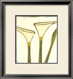 Arum, c.2003 Prints by Nicolas Le Beuan Bénic
