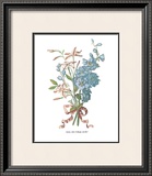 Jasmin Prints by Jean Louis Prevost