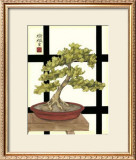 Zen Bonsai III Prints by Jennifer Goldberger
