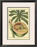Exotic Melons III Prints