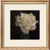 Gardenia in Green Vase Prints by Carnochan 