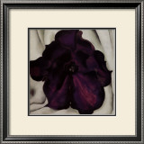 Purple Petunia, 1925 Print by Georgia O'Keeffe Purple Petunia, 1925 Print by Georgia O'Keeffe