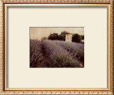 Lavender Print by Amy Melious