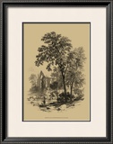 The Ash Tree Posters
